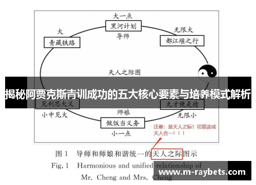 揭秘阿贾克斯青训成功的五大核心要素与培养模式解析