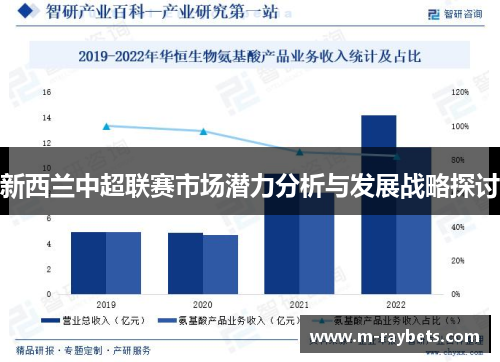 新西兰中超联赛市场潜力分析与发展战略探讨