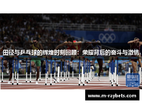 田径与乒乓球的辉煌时刻回顾：荣耀背后的奋斗与激情