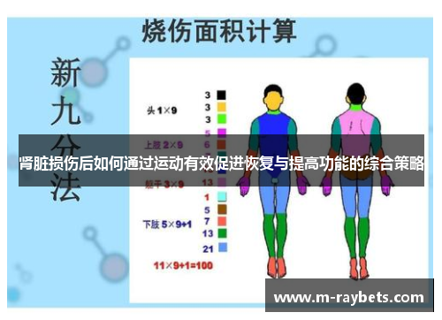 肾脏损伤后如何通过运动有效促进恢复与提高功能的综合策略