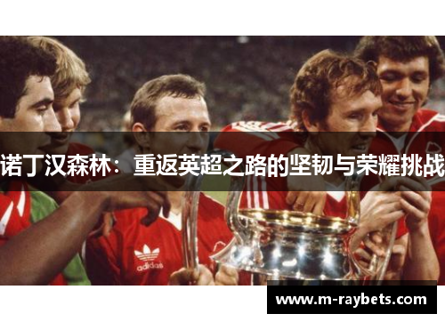 诺丁汉森林：重返英超之路的坚韧与荣耀挑战