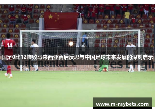 国足0比12惨败马来西亚赛后反思与中国足球未来发展的深刻启示